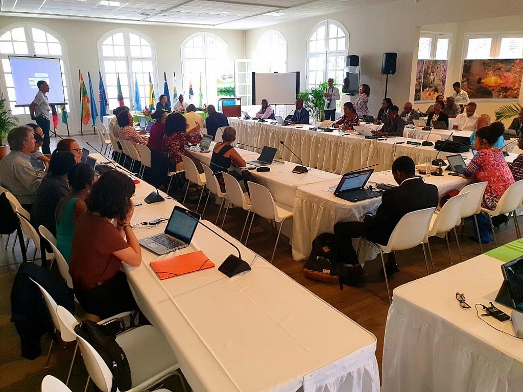 Oecs Environmental Ministers Meet In Martinique Dom