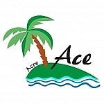 Ace Caribbean Real Estate