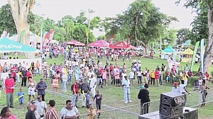 Creole in the Park