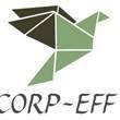 Corporate Enterprise Finance Facility Ltd.