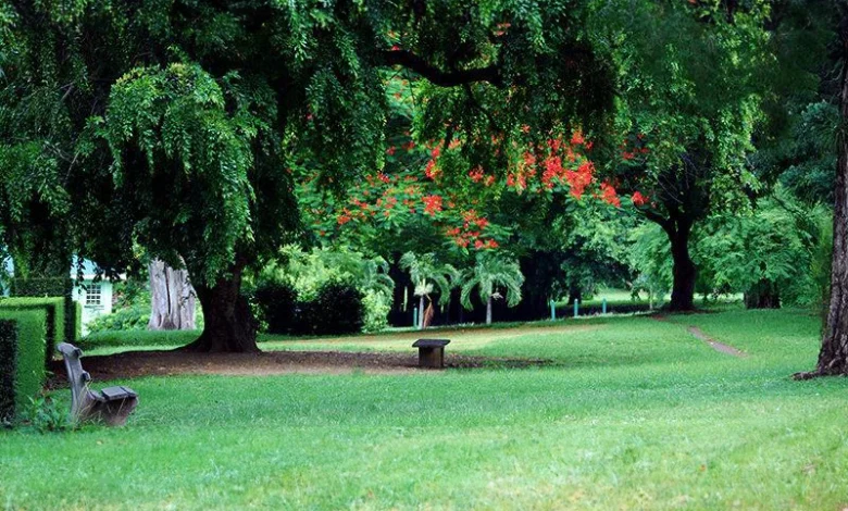 Dominica Botanic Gardens