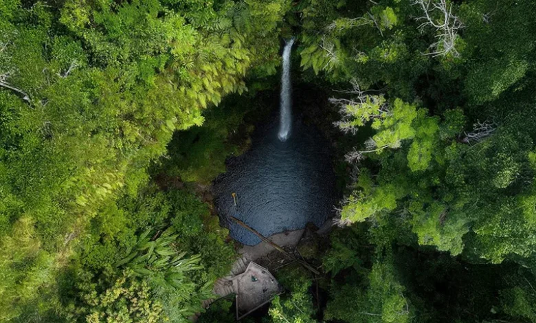 Spanny Falls Dominica