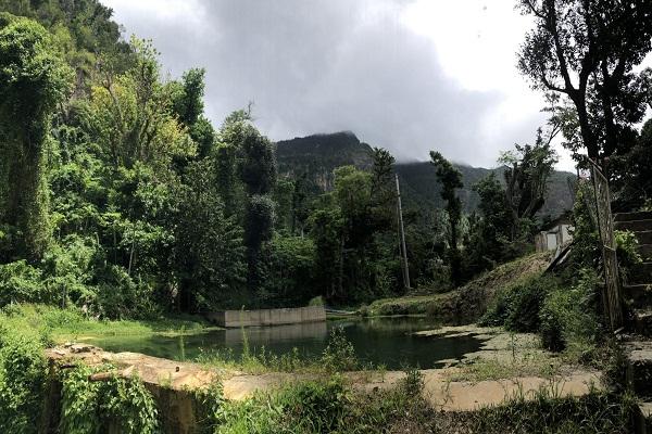 Soufriere Sulphur Springs National Park 1