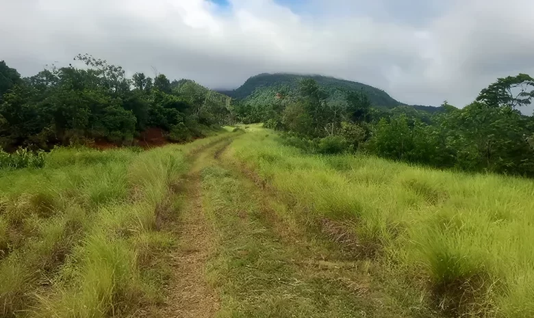 Morne aux Diables