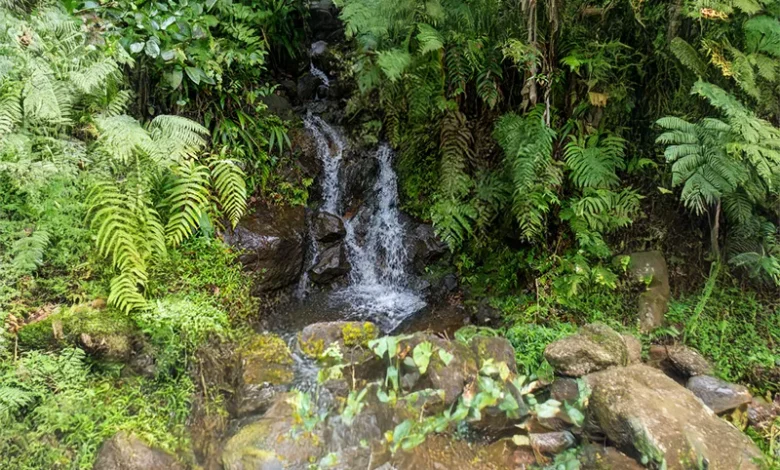 Salton Waterfalls