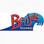 Benjo's Seamoss & Agro Processing Co Ltd