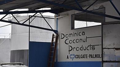 Dominica Coconut Products