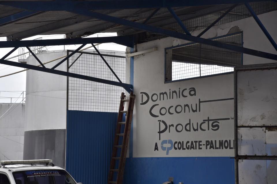 Dominica Coconut Products