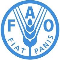 Photo of Food and Agriculture Organization
