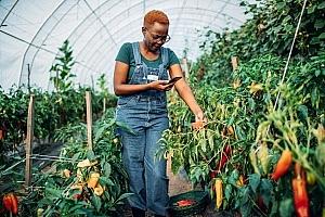 Woman Professional in Agriculture