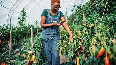 Woman Professional in Agriculture