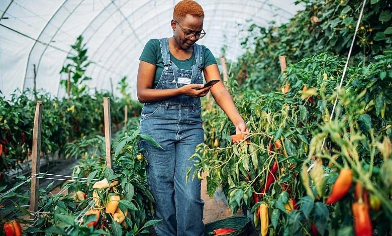 Woman Professional in Agriculture