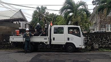 DOMLEC Workmen With Truck