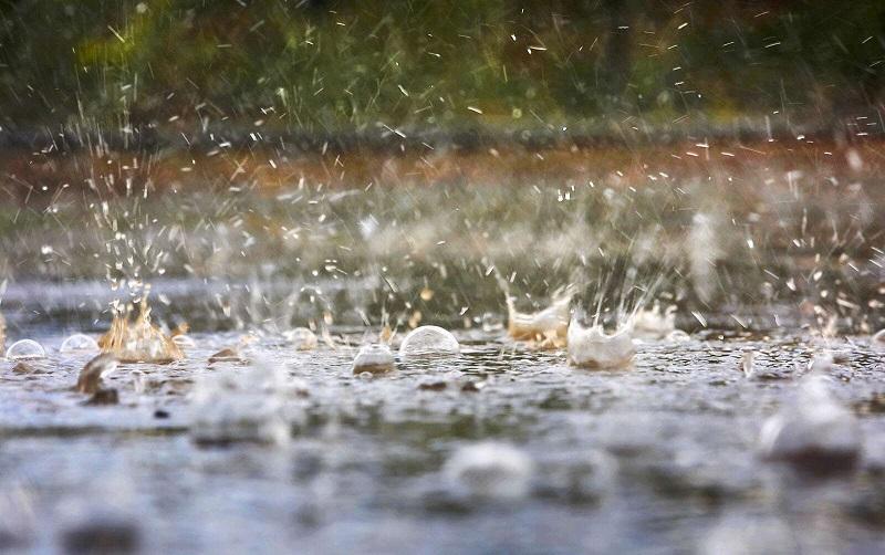 Heavy Rainfall Dominica