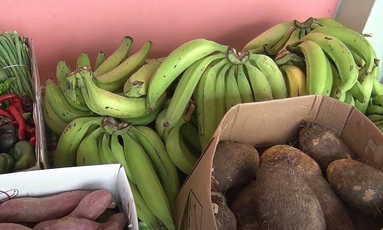 Farm Local Food Vegetables Dasheen Plantain