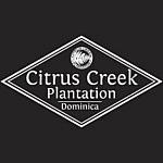 Citrus Creek Plantation