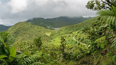 Dominica Forest Lake