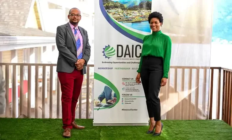 DAIC Elects New Board of Directors