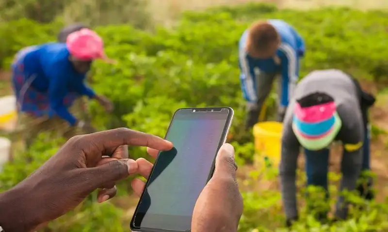 Agrilcuture Farmer Using Phone Application