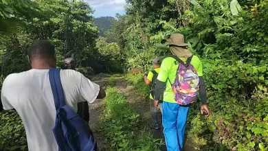 Hiking Nature Dominica