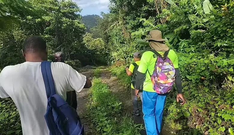 Hiking Nature Dominica