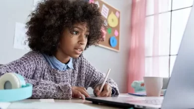 School Child Looking Computer