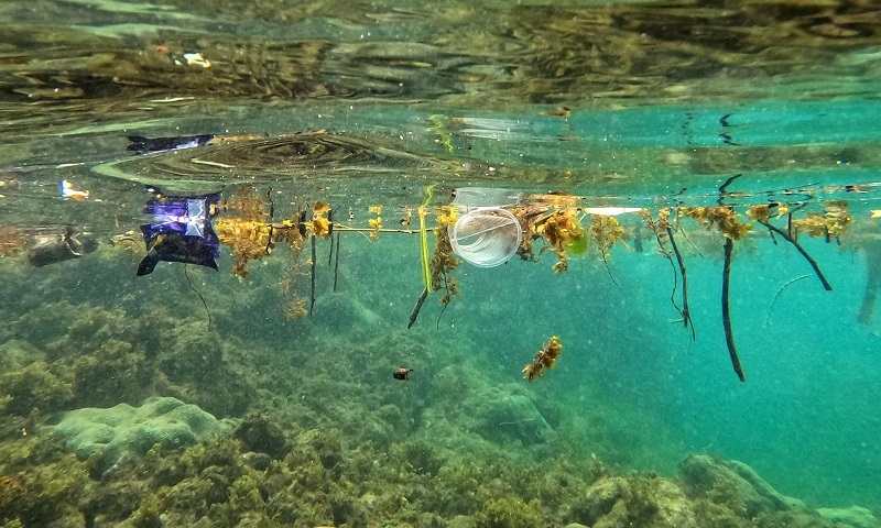 Waste in Sea Water