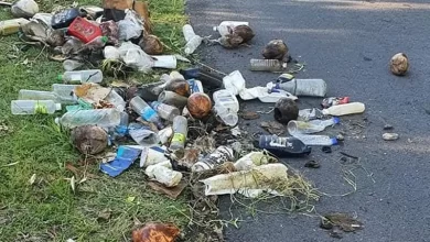 Waste Side Road Dominica