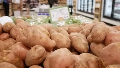 Local White Potatoes
