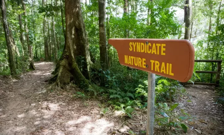 Syndicate Nature Trail