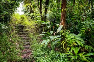 Waitukubuli National Trail