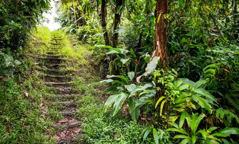 Waitukubuli National Trail