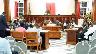 Dominica Parliament in Session