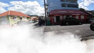 Fogging Roseau Dominica