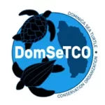 DomSeTCO - Logo