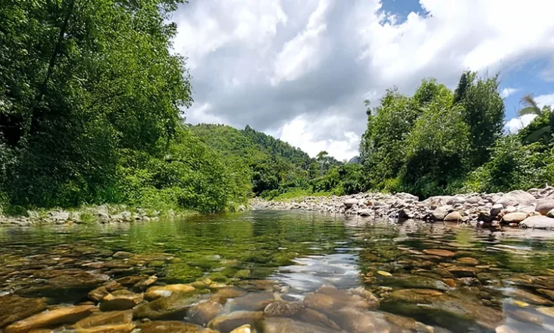 Salybia River