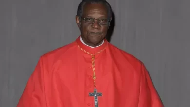 Cardinal Kelvin Felix