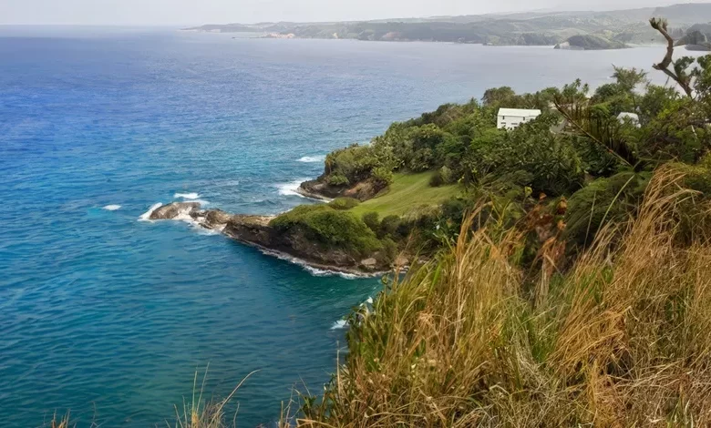 Dominica North Coast