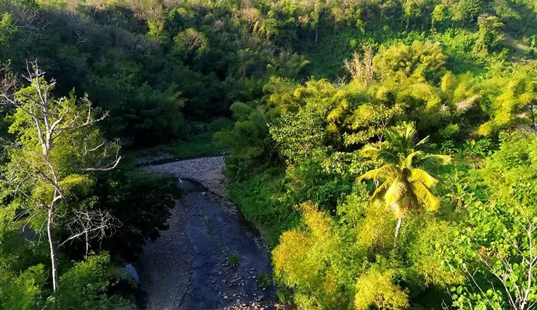 Macoucherie River