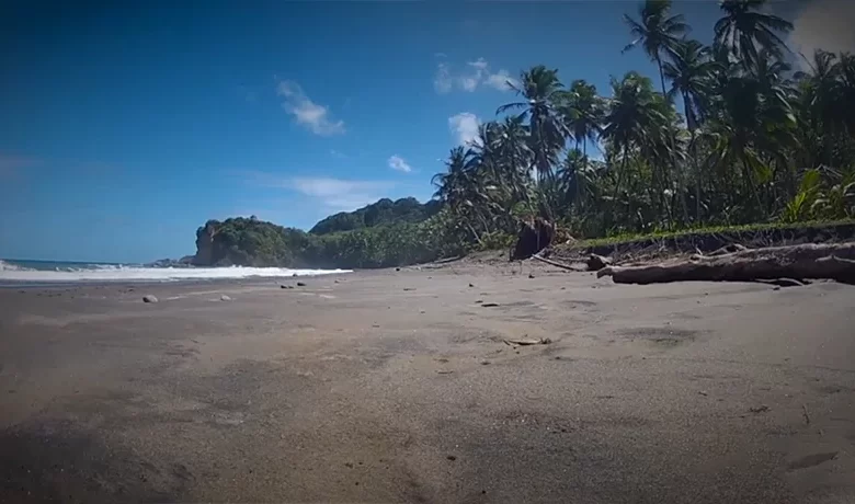 Number One Beach in Hampstead Dominica Near Calibishie