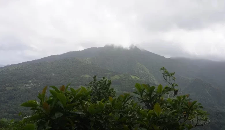 Waitukubuli Trail Segment #1