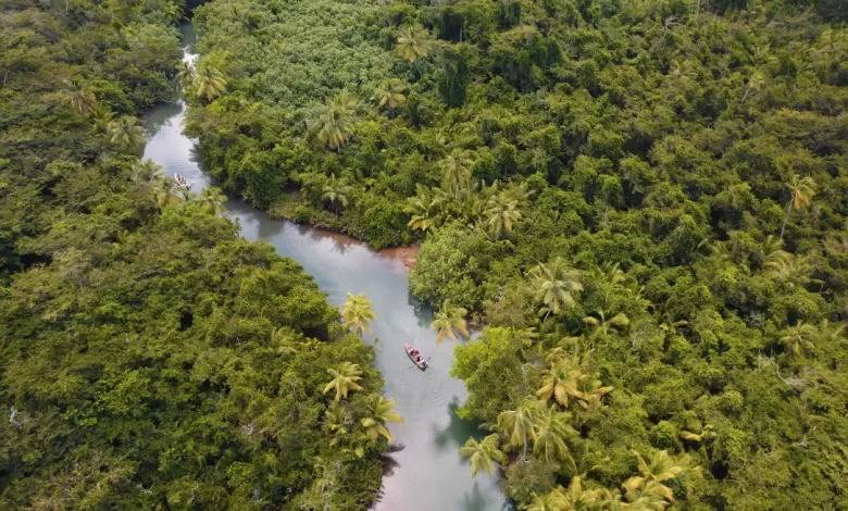 Dominica's Ecosystems