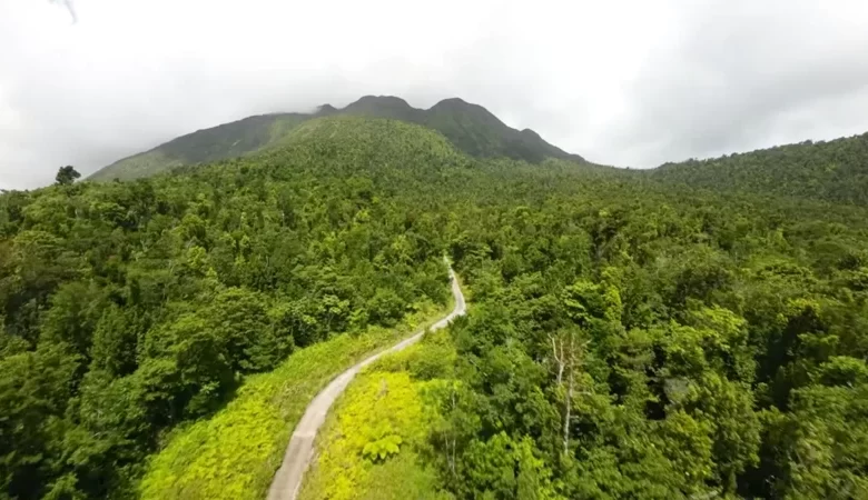 Morne Trois Pitons Trail