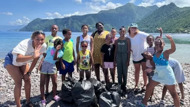 Dominica’s Coastal Communities Benefit from Safe Waves Environmental Initiative