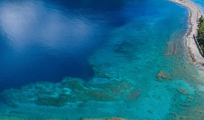 Scotts Head Reef