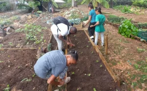 Youth in Agriculture