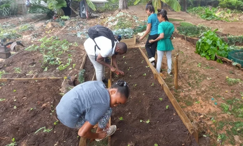 Youth in Agriculture