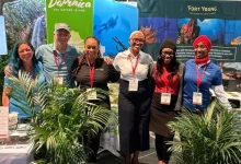 Dominica Reinforces Its Status as a Premier Dive Destination at DEMA Show 2024