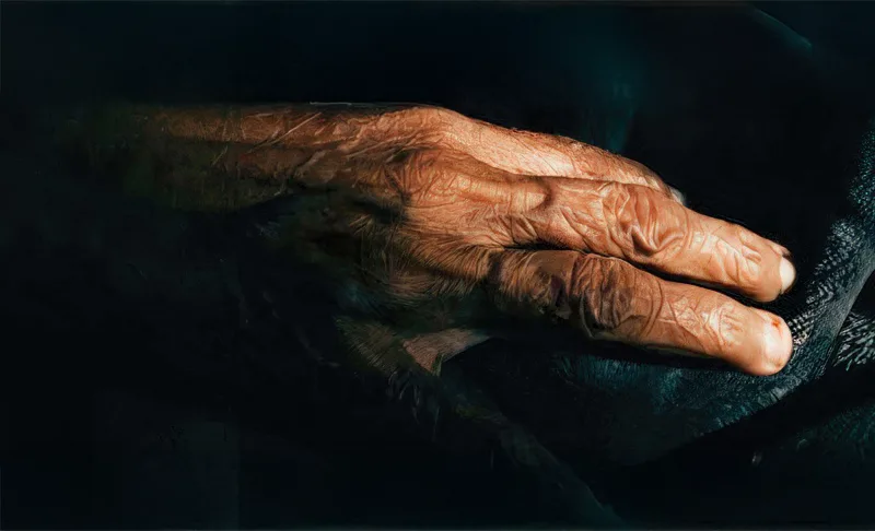 Elderly Woman Hand