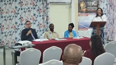 IRC Consultation Roseau, Dominica